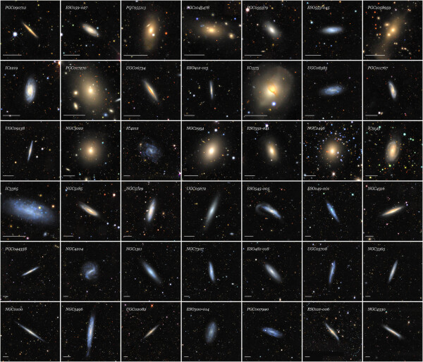 Optical mosaics of 42 galaxies from the SGA-2020 sorted by increasing angular diameter from the top-left to the bottom-right. Galaxies are chosen randomly from a uniform (flat) probability distribution in angular diameter. The horizontal white bar in the lower-left corner of each panel represents 1 arcminute and the mosaic cutouts range from 3.2 to 13.4 arcminutes. This figure illustrates the tremendous range of types, sizes, colors and surface brightness profiles, internal structure, and environments of the galaxies in the SGA.
Credit: CTIO/NOIRLab/DOE/NSF/AURA/J. Moustakas