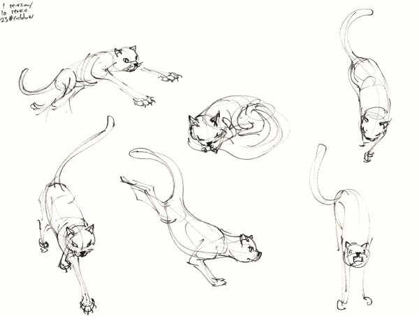 a horizontal A3 page filled with six rough sketches of cats from imagination, done in black ink