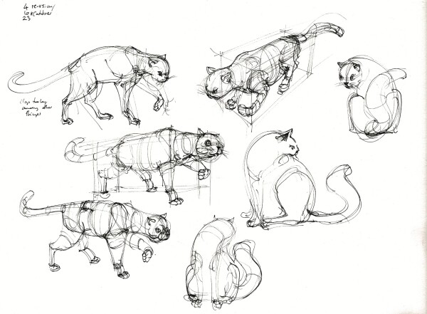 Seven rough sketches of cats from imagination, done in black fountain pen, attempting to imagine several views of overall just two different poses, rotating them in space.