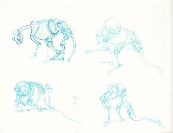 Four sketches of very simplified cat skeletons in various poses drawn in blue colored pencil.