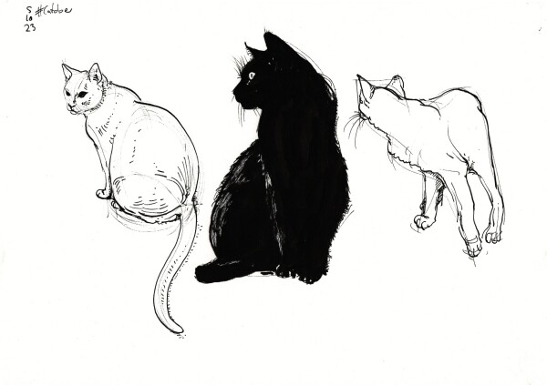 a page with 3 drawings of cats done in black fountain pen and brush pen from reference 