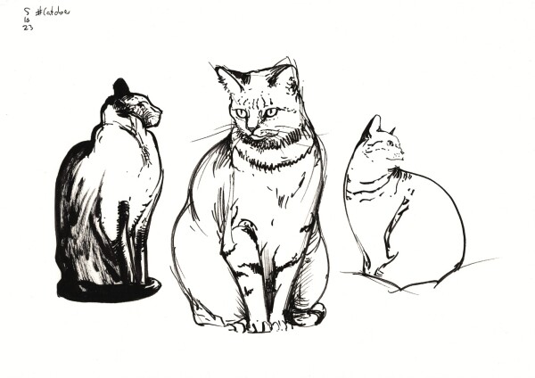 a page with three sketches of cats sitting on their hind legs, done in black felt tip pen and brush pen