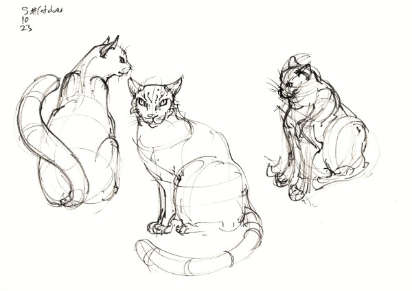 three sketches of cats sitting on their hind legs, this time done from imagination, also in black felt tip pen