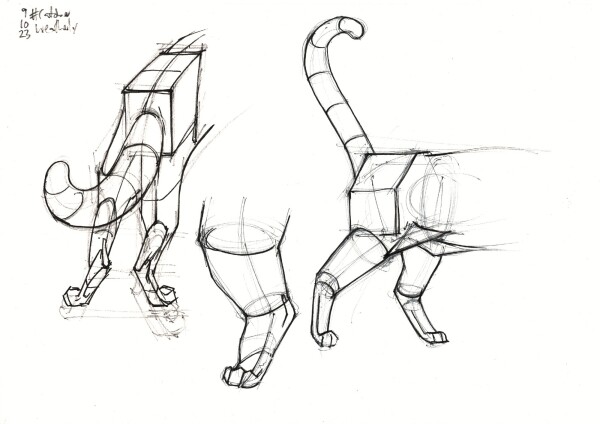 three construction studies of cat hind legs in ballpoint and black felt tip pen