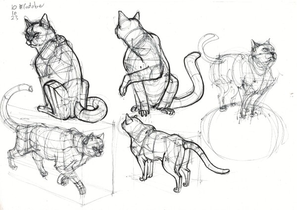 5 construction sketches of cats from imagination, done in black ballpoint and felt tip pen