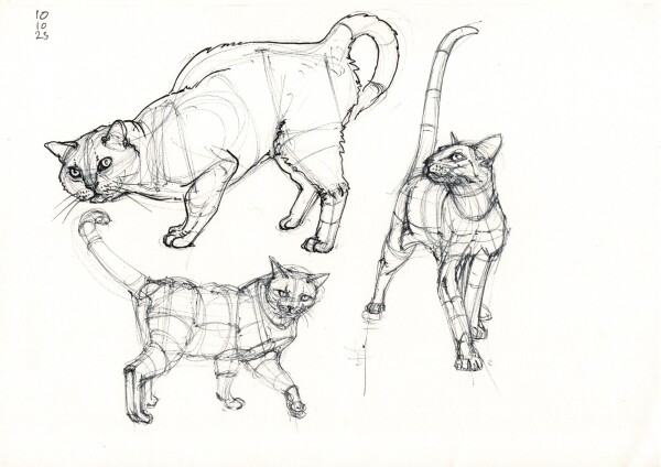 a page with three constructive studies of walking and standing cats in black ballpoint, with the one in the upper left corner partially redrawn in black fountain pen