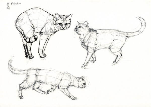 a page with again three constructive studies of standing and walking cats in black ballpoint, with the one in the upper left corner partially redrawn in black fountain pen