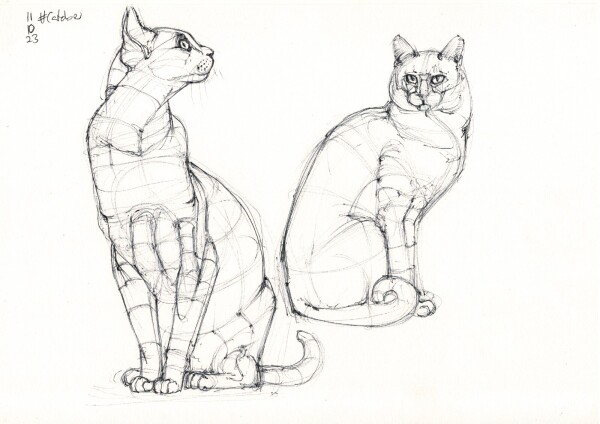 a page with two constructive studies of cats sitting in black ballpoint