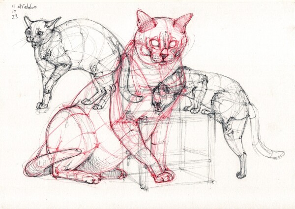 a page with three constructive studies of cats sitting, standing and climbing on a chair, in black and red ballpoint. The sitting cat study is in red, bigger than the others, and I did not fill in her pupils, so she looks pretty creepy.