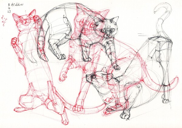 a page with four constructive studies of cats standing, standing up on only hindlegs and crouching, in black and red ballpoint, with the black studies overlapping the red ones.