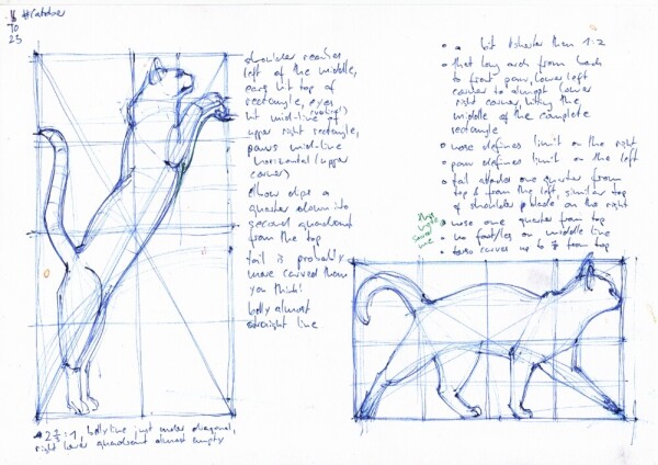 two drawings of cats enclosed in rasters to more accurately gauge their proportions, surrounded by a bunch of notes in rather small handwriting