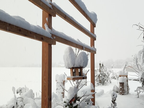 Vogelhaus hängt an einem Baumspalier, hat zwei Schneehauben link und rechts von dem Balken an dem es aufgehängt ist.