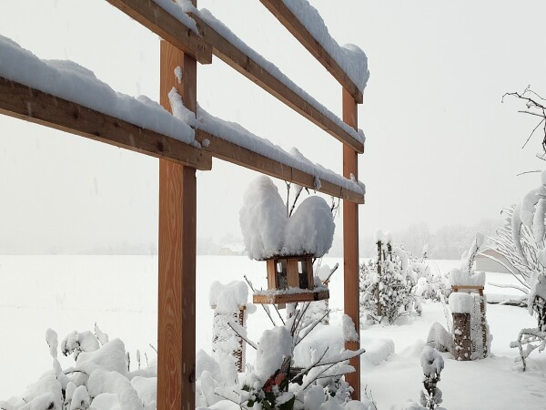 Vogelhaus hängt an einem Baumspalier, hat zwei Schneehauben link und rechts von dem Balken an dem es aufgehängt ist.