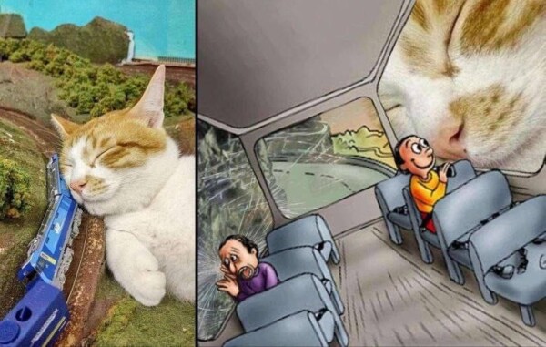 A humorous composite image where a sleeping cat's head is superimposed over the front of a miniature train, appearing as if the train is driving into the cat's nose. On the right side, an illustrated scene shows cartoon passengers reacting in a bus