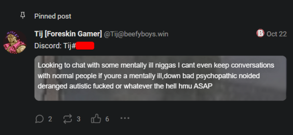 User who's looking for people who are "mentally ill" to contact them on Discord. Also contains several racist and abelist slurs.