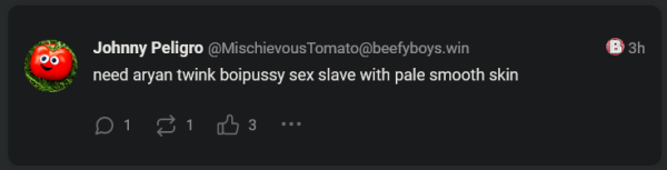 Same user as the one looking for a girl or femboy, this time saying "need aryan twink boipussy sex slave with pale smooth skin"