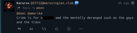 screenshot of a post. "Crime is for the n..... amd the mentally deranged such as the gays and the trans"