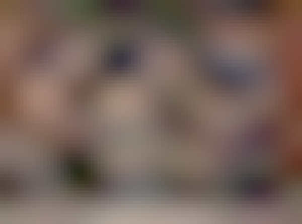 Three rugged outdoor persons sitting in front of a cabin with two vigilant dogs. A vague postapo feeling, perhaps just before they hit the road.[AI-generated as a placeholder until we get real art done - funding pending. Not intended for use in final version.]