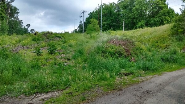 Nierówna zielona łąka wzdłuż drogi. Idzie pod górę, z prawej strony widać zielone boki nasypu kolejowego. Nigdzie nie widać śladów peronu. W tle lasy.