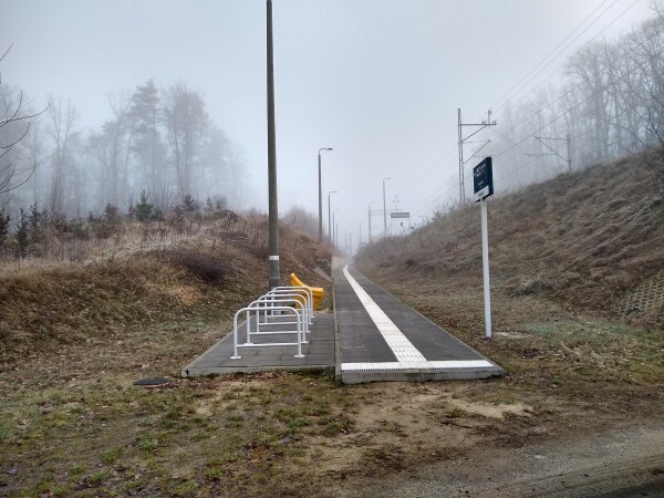 Chodnik wcięty pomiędzy wznoszącą się łąką, a nasypem kolejowym. Pośrodku, biała linia płyt naprowadzających niewidomych. Po lewej stronie parę podpórek dla rowerów, po prawej znak wskazujący peron. Wzdłuż chodnika lampy.