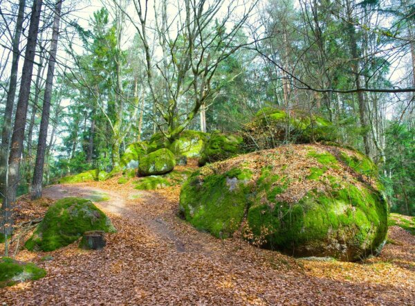 Mossy round rocks at the naturpark mühlviertel in rechberg, upper austria