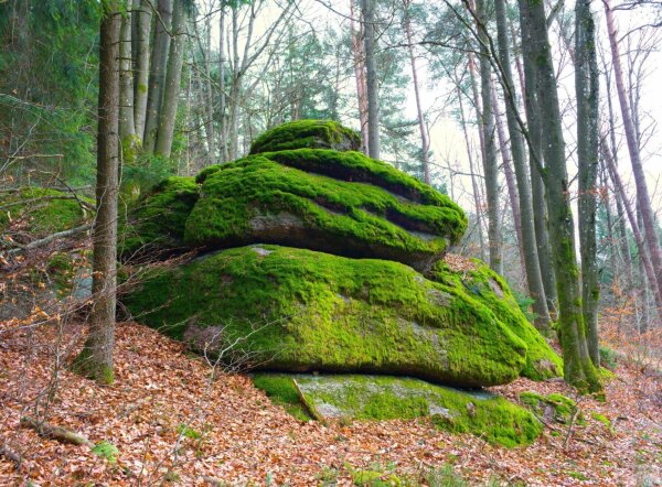 Mossy rock at naturpark mühlviertel near rechberg,  upper austria,  in early spring