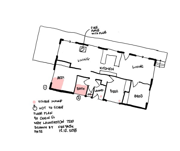 A hand drawn 3 bedroom residential building showing areas of mould growth. 