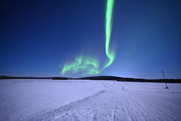Northern Lights in bright green over the snow in North Pole, Alaska.