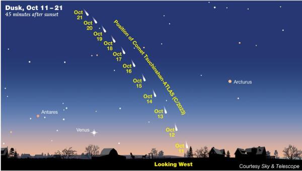 The bright Comet Tsuchinshan-ATLAS will first become visible in the evening sky on October 11th, appearing between Antares, the brightest star in the constellation Scorpius, and Arcturus, the brightest star in Boötes. While opening night will have it competing against twilight, it will be both higher in the sky and more visible against darker skies on subsequent evenings.