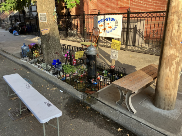 A sidewalk fire hydrant is surrounded by a tiny fish pond decorated with colorful aquarium fixtures in the cavity where concrete is usually poured. A few signs advertising the “Bed Stuy Aquarium and a couple benches complete the tableau.