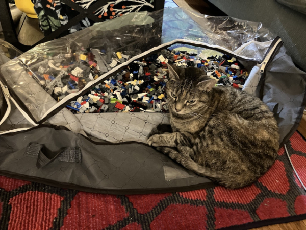 A tabby cat lies on the outskirts of an underside bed storage bag full of loose LEGO parts.