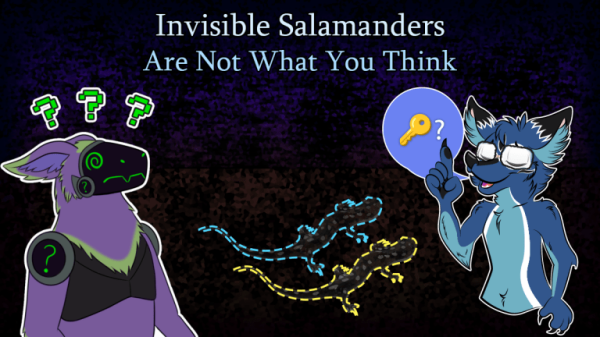 Invisible Salamanders Are Not What You Think