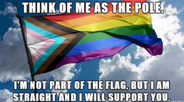 The image features a flag with a unique design, combining elements of the Pride flag and the transgender pride flag. The flag has a series of horizontal stripes in the traditional rainbow colors: red, orange, yellow, green, blue, and purple. Additionally, there is a black, brown, and light blue diagonal stripe pattern on the left side, representing the transgender pride flag. The flag is waving against a backdrop of a blue sky with scattered white clouds.

At the top of the image, there is text in bold, white capital letters that reads: "THINK OF ME AS THE POLE." Below the flag, there is more text in the same style, stating: "I'M NOT PART OF THE FLAG, BUT I AM STRAIGHT AND I WILL SUPPORT YOU." 