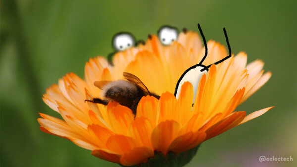 A close up photo of an orange calendula flower against a blurred green backdrop. It is only partially opened, but there is a fluffy bee diving head first into the centre. I have added a simple scribbled figure also head down into the flower, while two more peer over from the slightly blurred back edge of the flower.