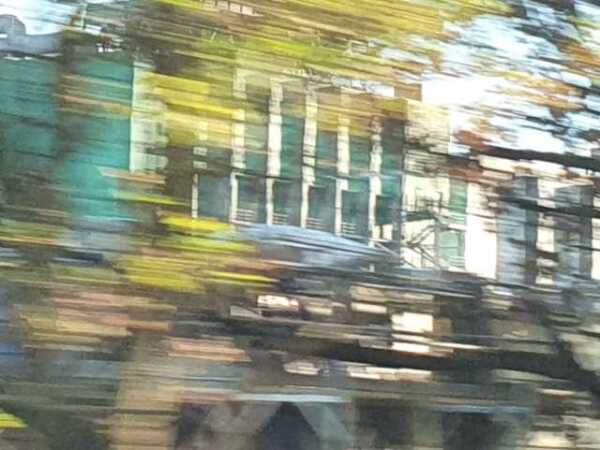 Snapshot out of the driving train, one can see some trees running by the window