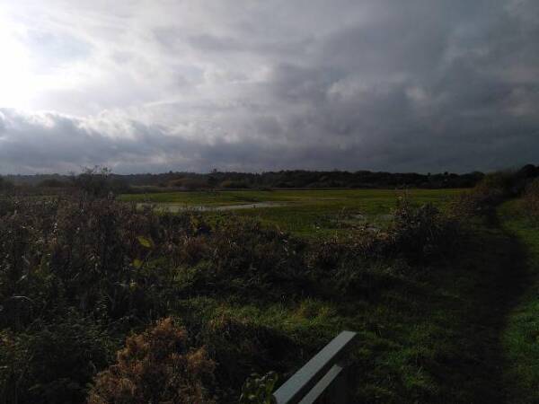 Blick über grüne Wiesen unter einem bewölktem Himmel.
