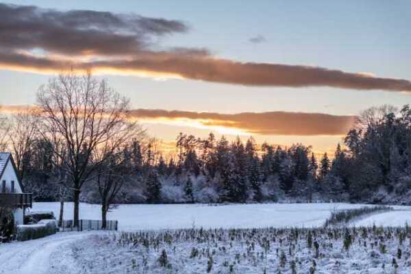 Weißes Feld, bunter Himmel