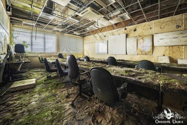 An abandoned office space is overgrown with moss and plants. The ceiling is falling apart, but some office equipment like chairs and tables remain