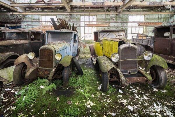 Two old, rusted vintage cars sit abandoned in a decaying building, surrounded by moss, plants, and debris on the floor.