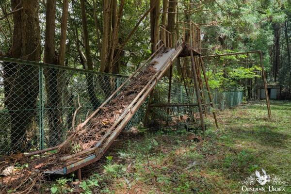 Slide with leaf litter