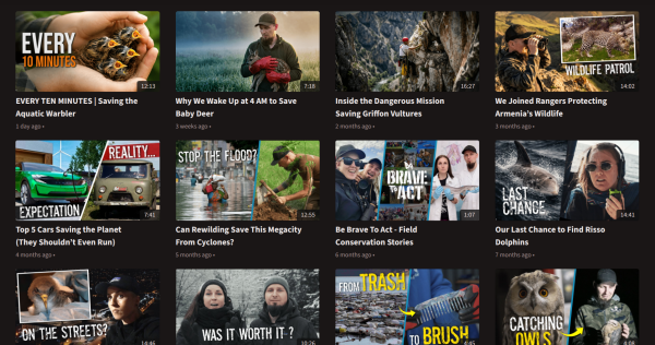 Screenshot of the Peertube channel showing all the videos in a grid layout.