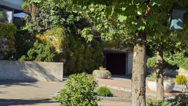 Bäume und dicht bepflanzte Vorgärten stehen vor einer Einfahrt und einer dunklen Garage.