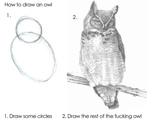 How to Draw an Owl visual tutorial in two steps. Step 1. reads "Draw some circles" and shows two crude pencil ellipses, supposedly for the head and the body of the owl. Step 2. reads "Draw the rest of the fucking owl" and shows a fully-detailed owl drawing complete with shading.